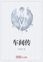 我的无限翅膀