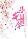 daoshidianping