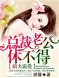 征服办公室杨丽胯下