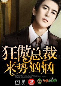 鸡毛飞上天免费完整版