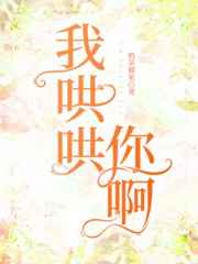 丝袜阿姨