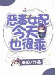 国外b站