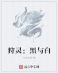 人皮灯笼粤语
