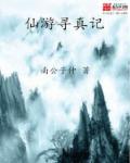 美国人电影在线观看bd
