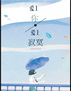 新版金银瓶1-5外国