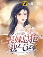 爱情综合症小说