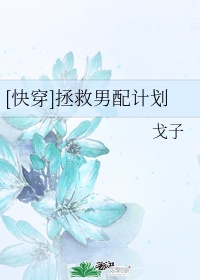 射雕英雄传08版
