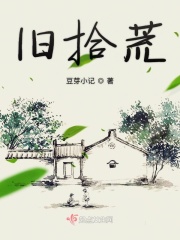 狐狸的夏天免费观看电视剧完整版