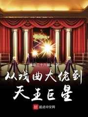 japan hdv povn vides