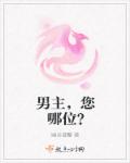 启翔赛鸽公棚春棚