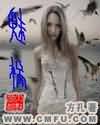 投光灯图片