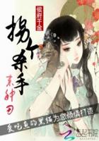 玫瑰情人网会员登陆