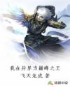 h网站导航