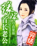 大胆的爱小心的偷