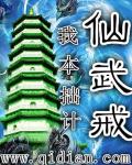 都市至尊仙医叶枫