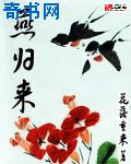 美丽教师意大利未删减版在线看