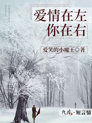 丹东交通违章查询