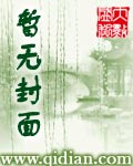 木府风云演员表