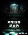我的美mu教师