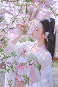 LUTUBE在线观看入口