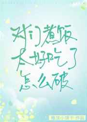 聪明的一休动漫