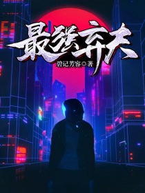 法国啄木鸟系列