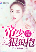 陈遇白安小离的小说免费阅读