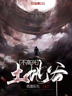 我站在桥上看风景小说