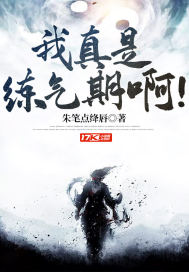 小说娃小说网