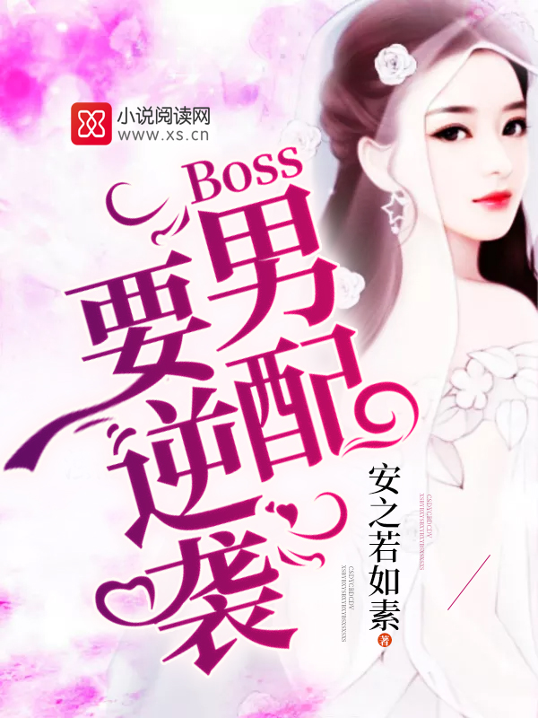 漂亮女局长小说全文免费观看