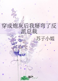 灰姑娘h版bd在线播放