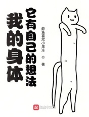 碟调网2024