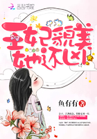 总警监