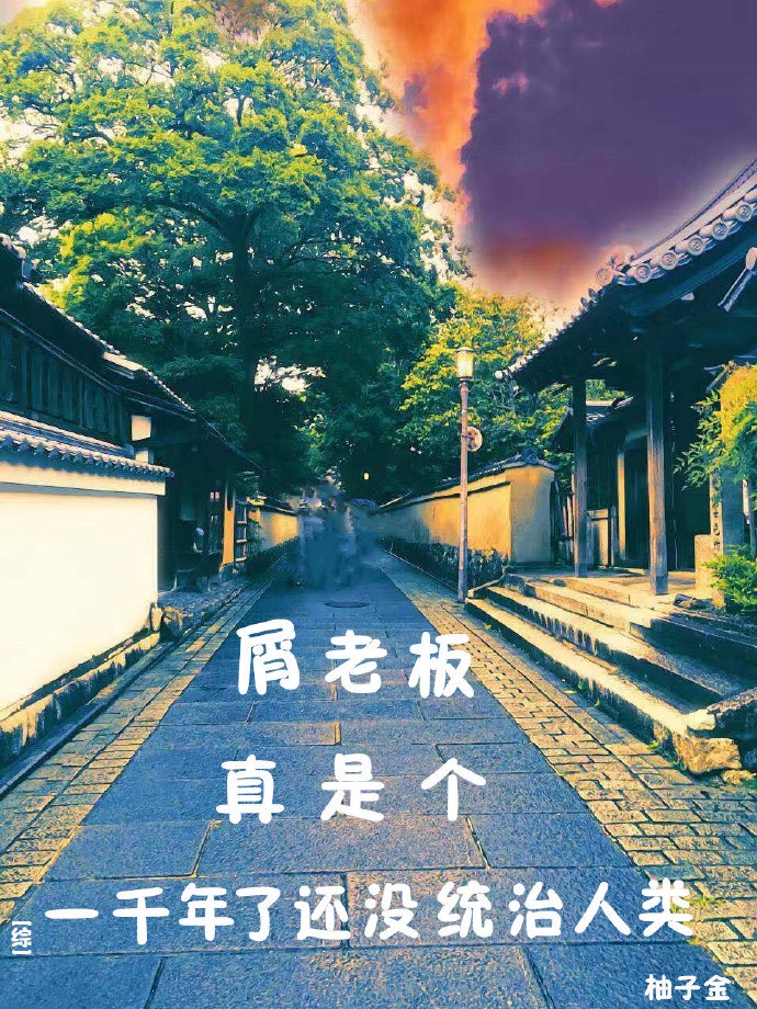 邪魅妻主