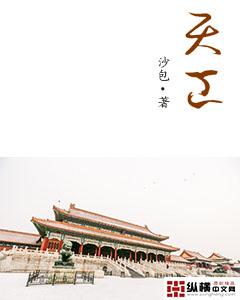 中老年女人播放器