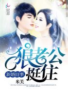 机器人总动员2