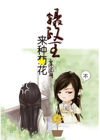 网易黄页