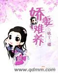 腹黑王爷俏医妃