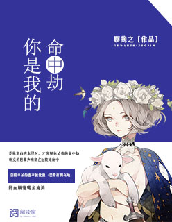 跑狗图解析论坛