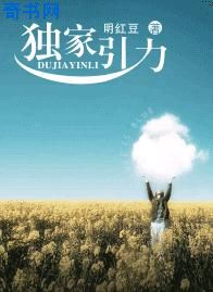 戴妃小说