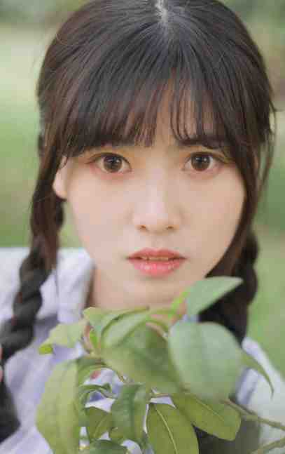 林志玲小说