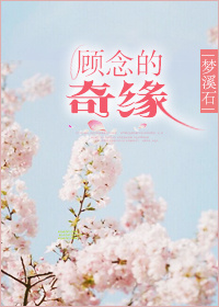 大桥未久作品合集
