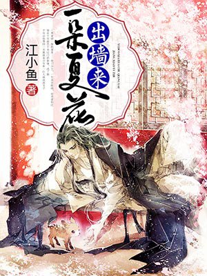 四季视频在线观看免费高清