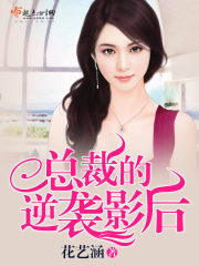 凌波城怎么加点