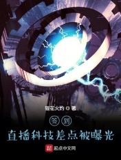 掌酷小说