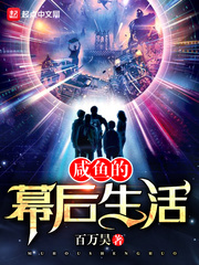 口袋双子星