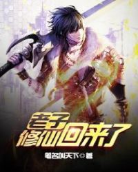 天然呆杀手之再续归来