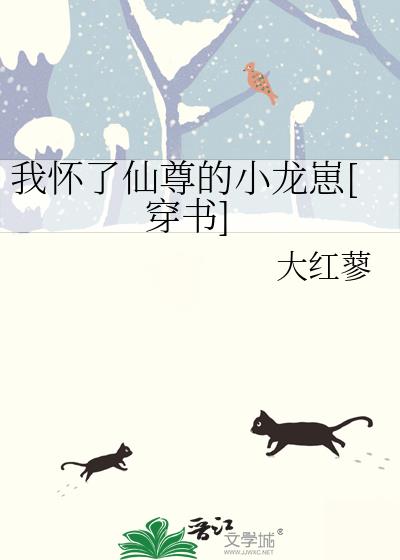 少年骇客最终进化3风车