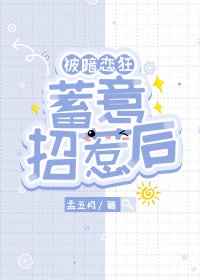 喵咪app官网下载安装