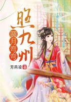 红高粱电影免费观看